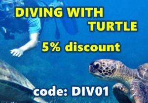 Diving with Turtle – Coupon