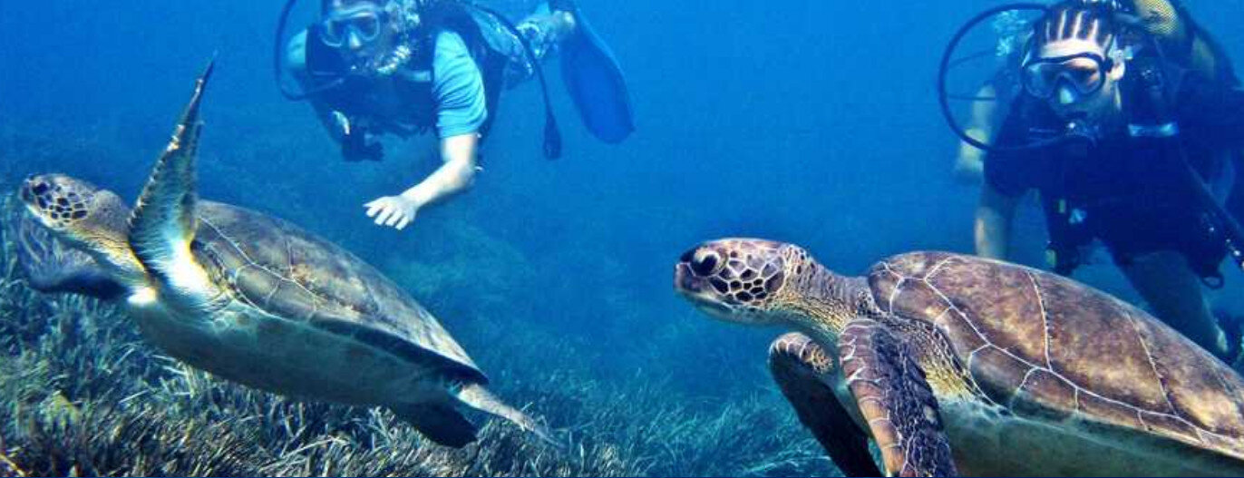 Diving Center Turtle Beach