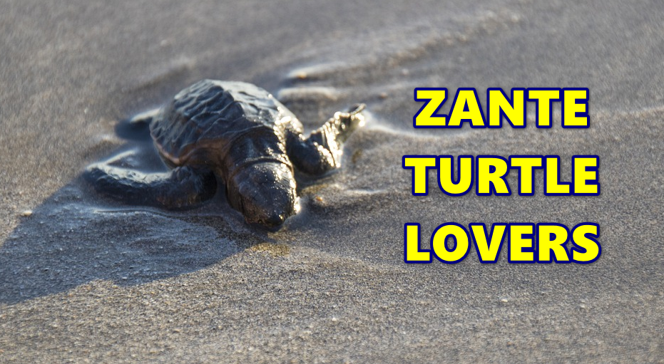 λάτρεις της χελώνας της Ζακύνθου